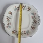 Picture 11 of 11