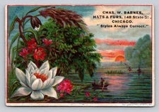 Chas Barnes Hats Furs Chicago Illinois P815