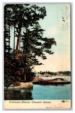 A View of Thousand Islands New York NY Picturesque America UDB Postcard N23