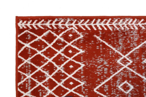 Trellis Bohemian - 2'x4' Moroccan Faded Transitional Area Rug - 511 - Picture 43 of 47