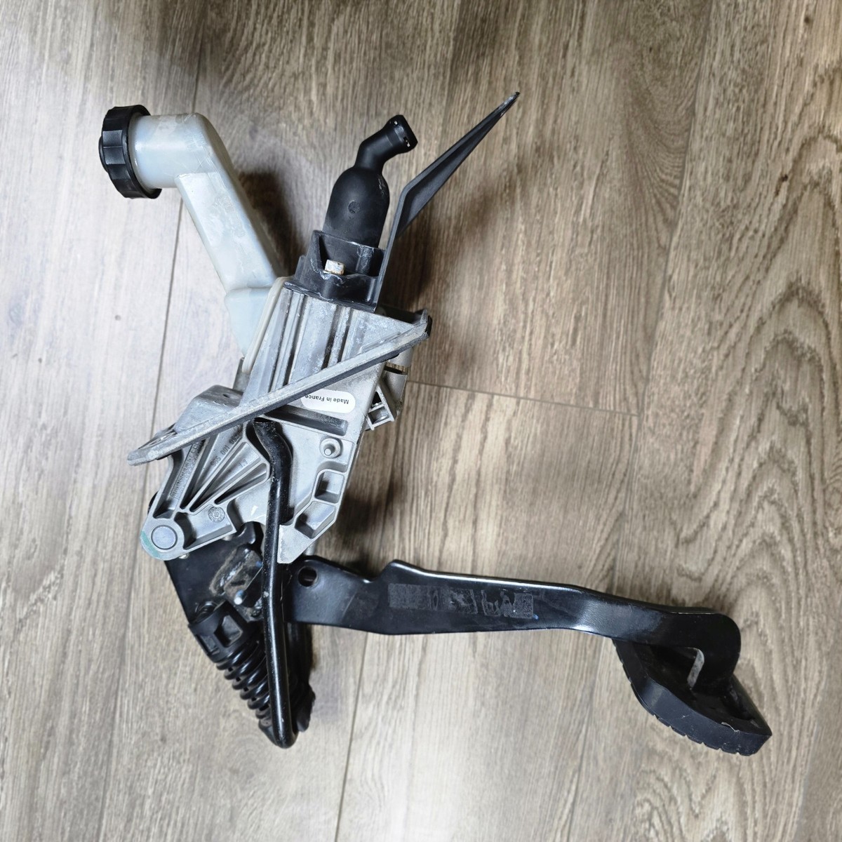 【A.H.P.L】ahpl skeoldzxbrp-s_5c4e2e73-3955-