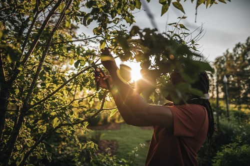 Fiskars Bypass-Gartenschere, Plus SmartFit, P541, Für frische Äste und Zweige - Bild 5 von 12