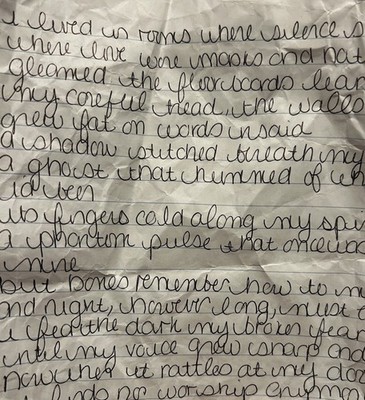 Used Handwritten Diary Entries - Mental Illness, Poems, Rants, Depression, Art