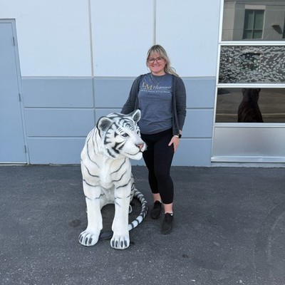 Sitting White And Black Siberian Tiger Life Size Statue Jungle Theme Prop Decor