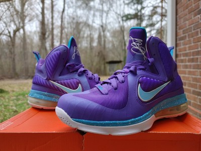 lebron hornets