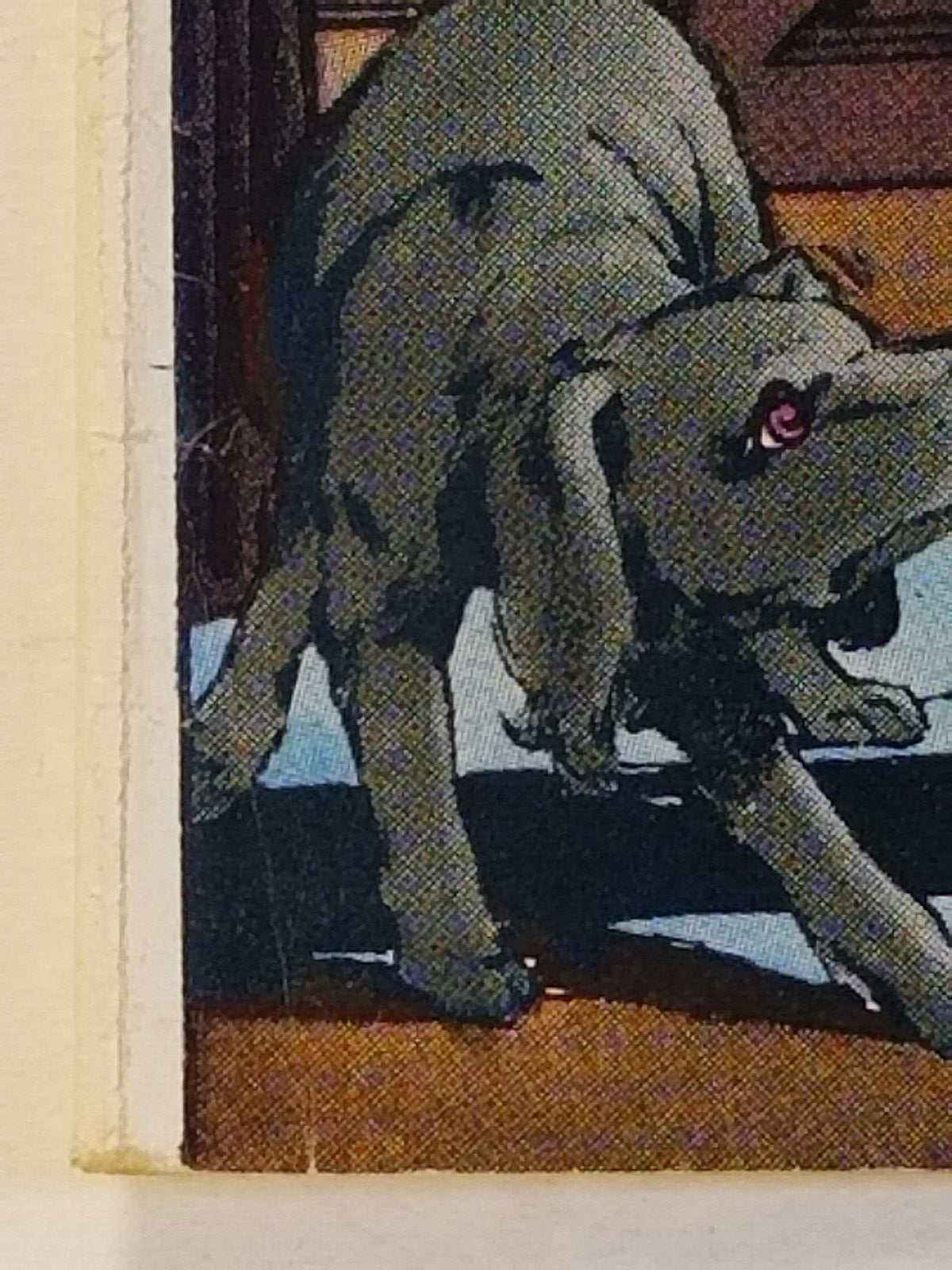 Picture 5 of 9