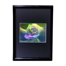 Cuadro holograma rosa floreciente (rectangular) enmarcado, tipo 3D coleccionable en relieve