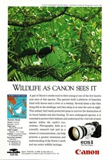 1993 CANON EOS1 35mm camera Storm's Stork bird Vintage Print Ad