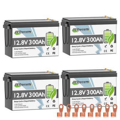 48V 300Ah LiFePO4 Lithium Batterie Solar Wohnmobil Boot Akku BMS 20000+ Zyklen