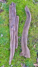 Lot of 2 Natural Driftwood Reptile Terrarium Decor 16"  19"