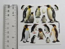Violette Stickers - PENGUINS - 4x4 Square NEW RELEASE Stickers #K271