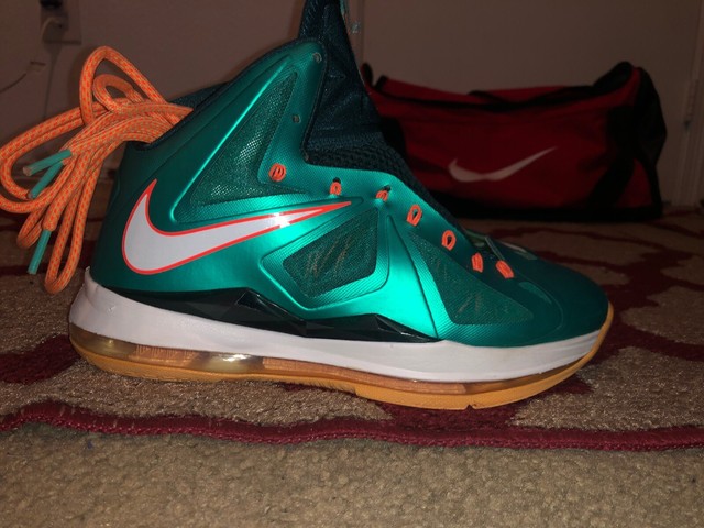 lebron 10 dolphins