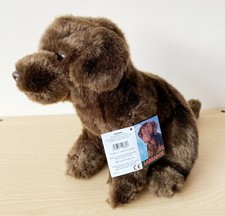 Chocolate Labrador, gift wrapped, personalised or not 4 options