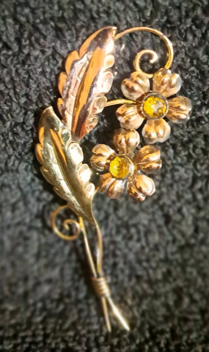 Van 2024 dell brooch