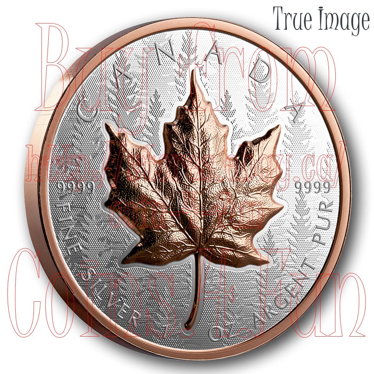 気まぐれ1万円値引き✨激レア！！炭素質タイプ オルゲイユ隕石 標本