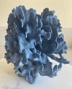 Natural Blue Ridge Coral - 8"W x 9"H x 8"D - 5.1 LB - B4- Vibrant Color