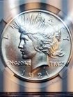 1921 High Relief Peace Dollar Unc Details
