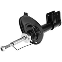 NTY StoßDäMpfer Gasdruck Vorne Links FüR CitroëN C4 Picasso I Ud_ 1.6 Hdi 110