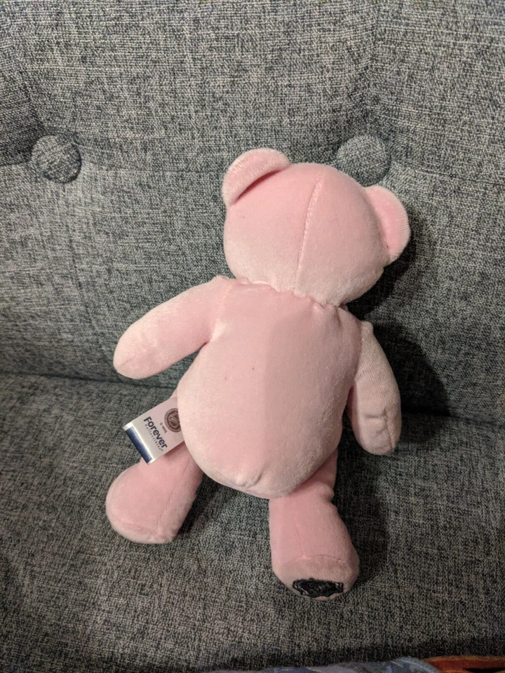 Rare Philadelphia FLYERS Pink BEAR 8" plush by Forever Collectibles Foto 2 de 4