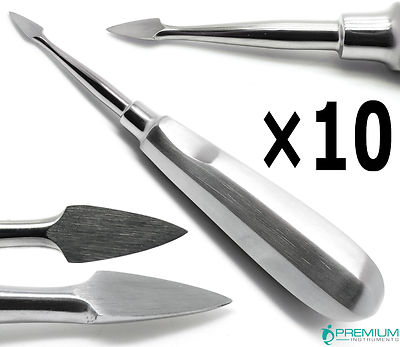 10× Dental Extraction Spear Root Elevators # 36 Surgical 6.25'' Instruments