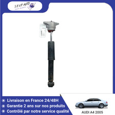 Amortisseur Audi R8