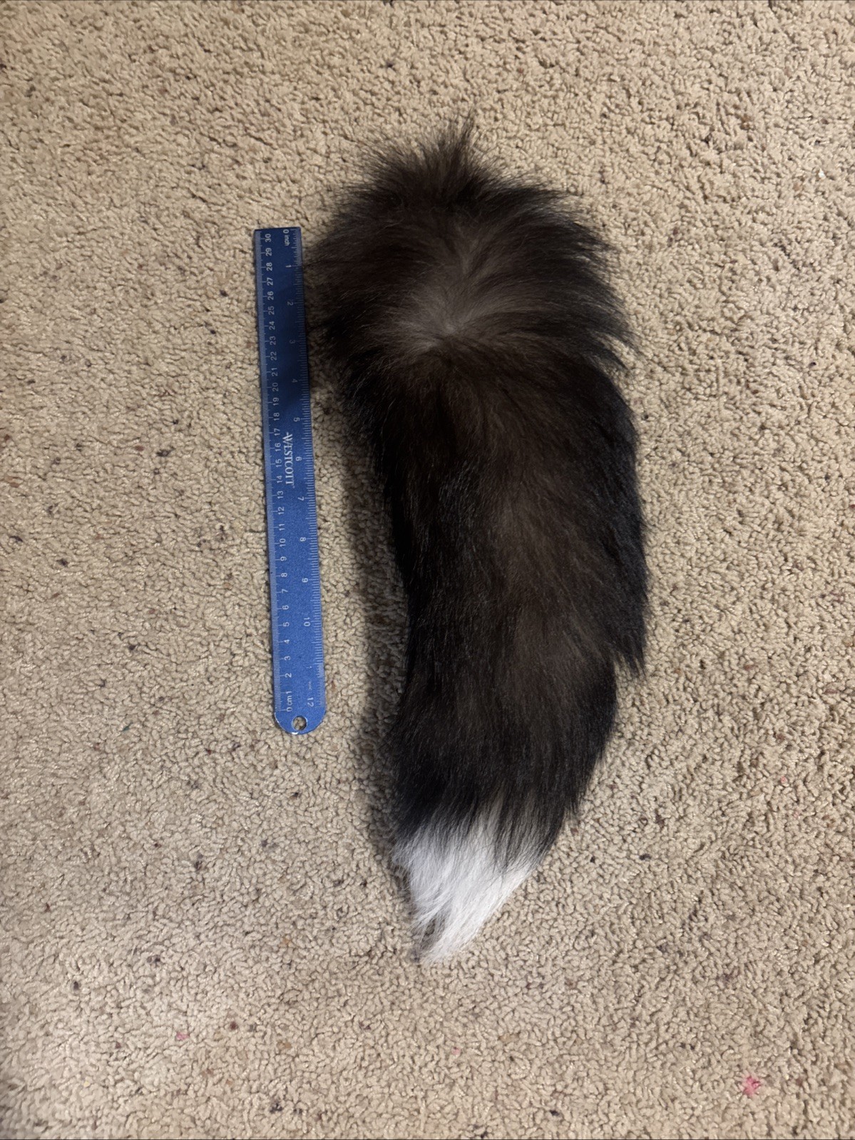 Medium Second Hand Silver Fox Tail - image 1