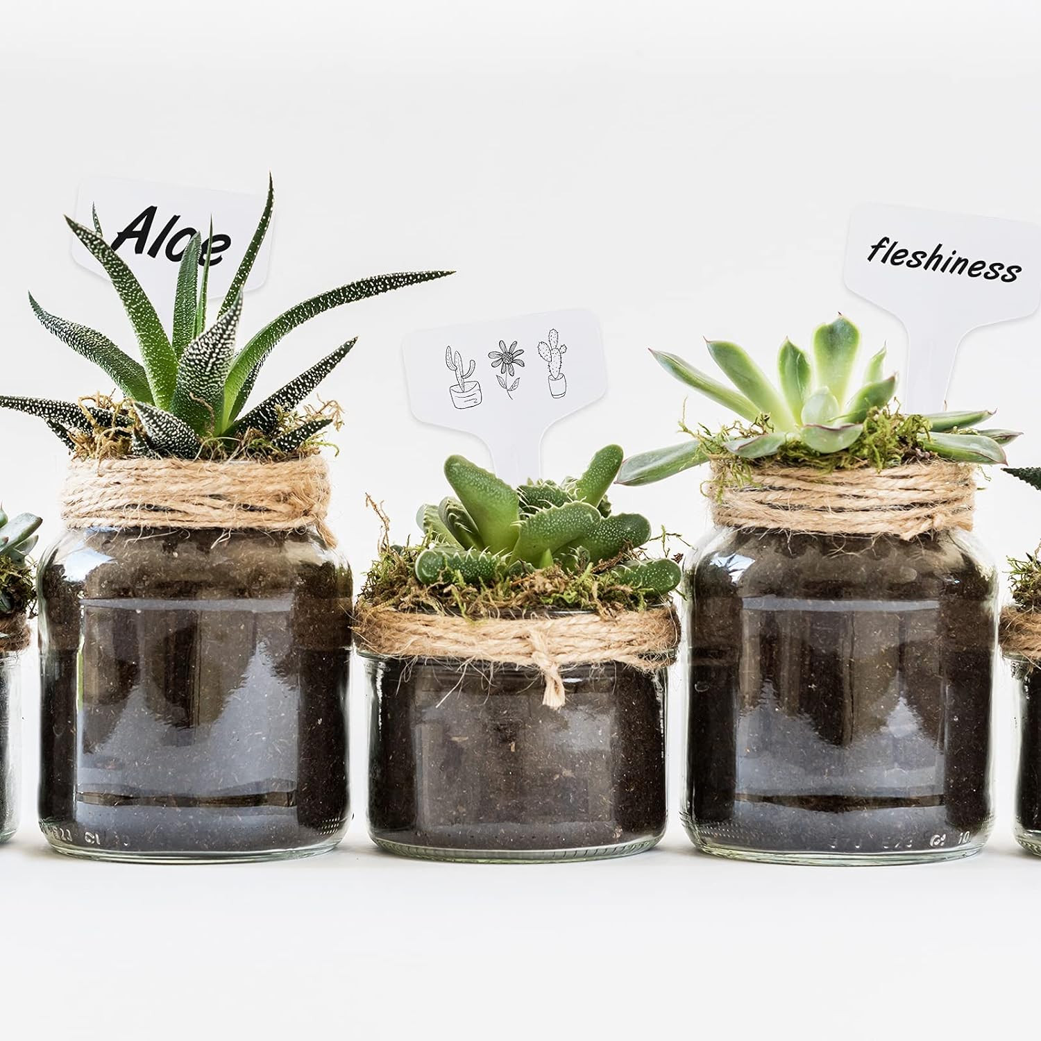 Plant Labels 200PCS 4 Inch Plastic Plant Name Tags Garden Labels Markers T-Type 