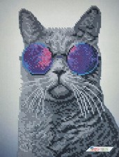 Bead Embroidery Kit Summer Cat DIY Beaded Stitching Needlepoint d2477