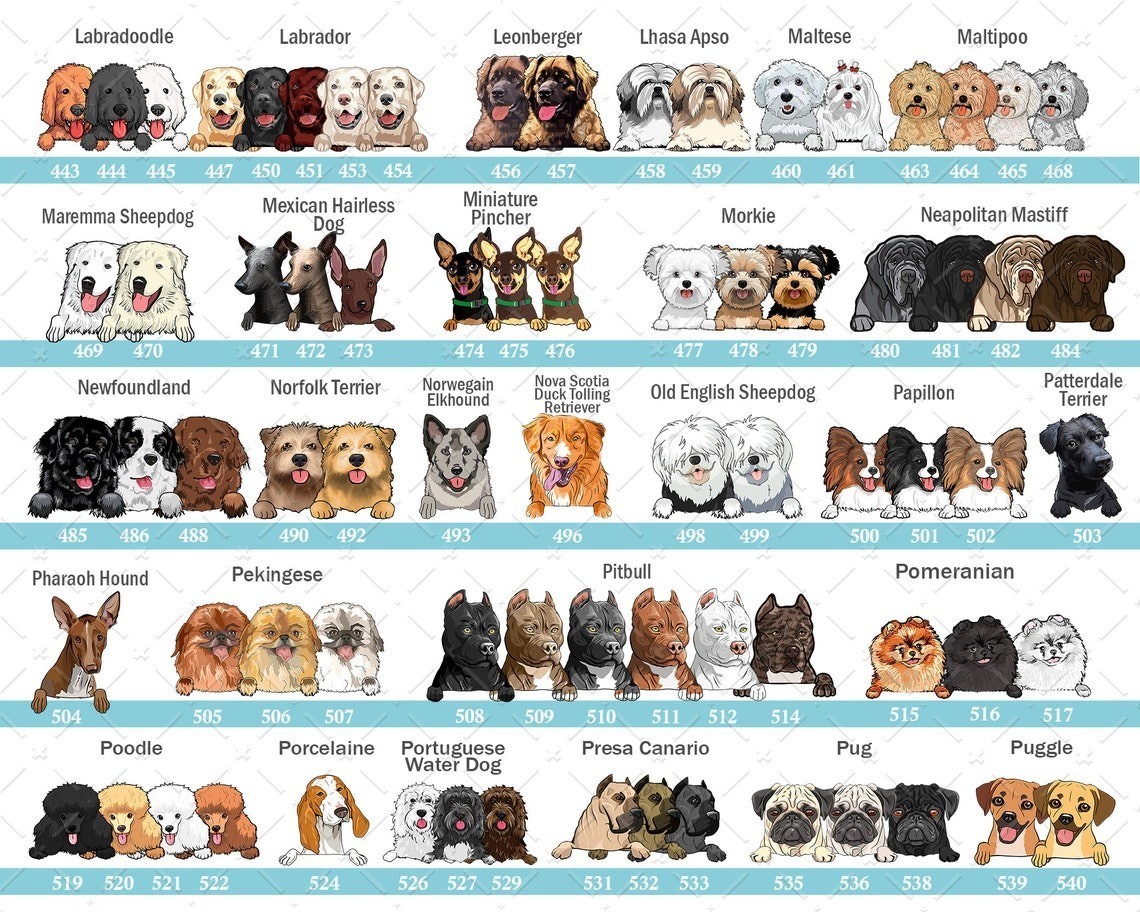 Welcome To Our Home Custom Dog Cat Name Doormat Rug Personalized Floor Mats