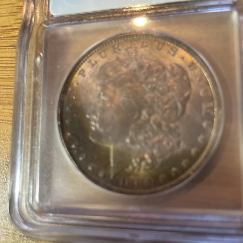 1884-O Morgan Silver Dollar ICG MS64
