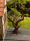 Foto 3 di 6