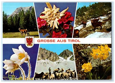 c1960's Greetings From Tyrol Multiple Views Hills Mountains Austria Postcard