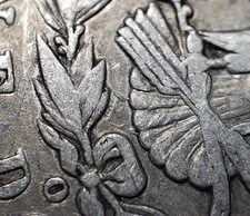 1891-O $1 Morgan Silver Dollar - VAM-1A Clashed E Obverse Top-100 - SKU-D5936