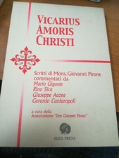 Vicarius Amoris Christi di Giovanni Pirone