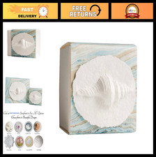 Biodegradable Burial Urn Box for Human Ashes - Small Shell Water Urn, Cremation