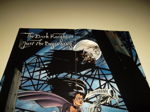 Póster promocional de Batman Chronicles DC Comics 1995 22x14 héroes villanos - Imagen 3 de 4