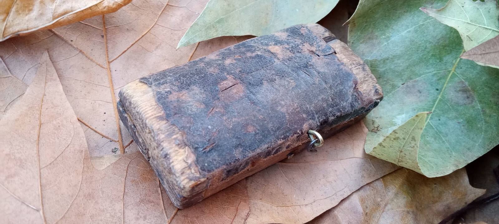 Bloodletting Tool W/Box Genuine Civil War Physicians Medical Tool. eBay