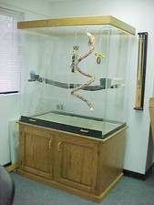 Pennzoni X Large Acrylic Bird Cage for Amazons, Parrots, Macaws with OAK BASE