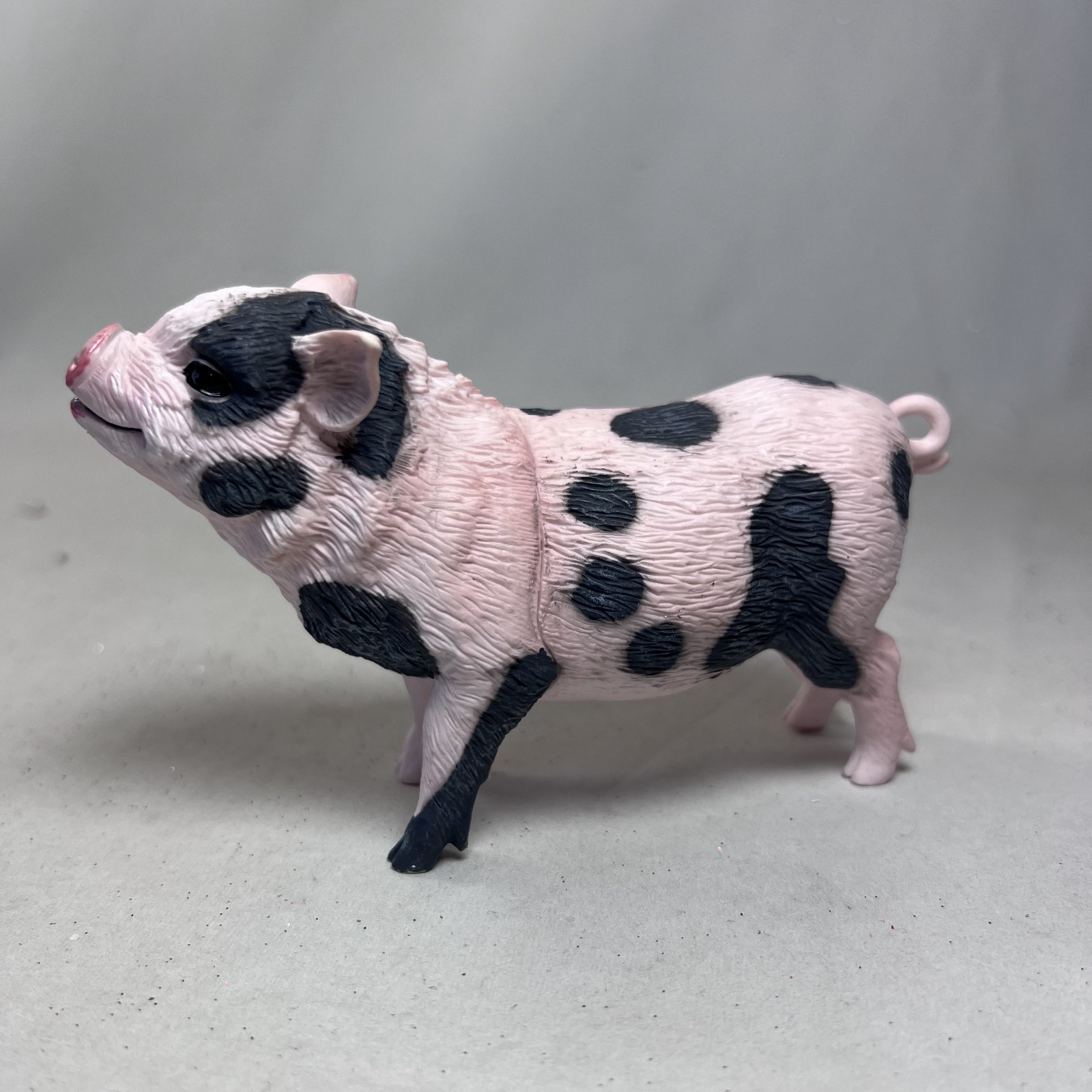Safari LTD Pot Bellied Pig Figurine Realistic 5 Inch Plastic Model Figure Toys