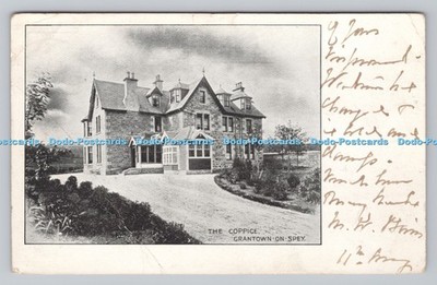 R808379 Grantown on Spey. The Coppice. 1904
