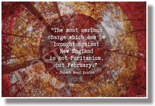 Most Serious Charge Against New England... February - NEW Funny POSTER tr591 