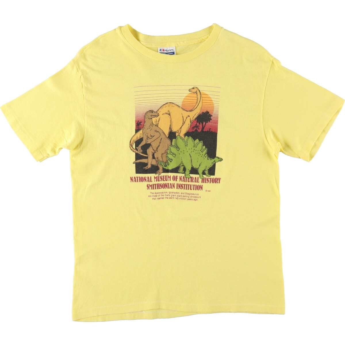 Old Clothes 80's Hanes Hanes Dinosaur Pattern Animal T-shirt