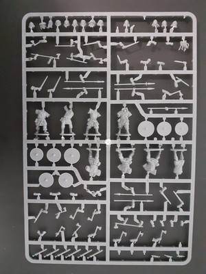 Tabletop Saga Wikinger Victrix