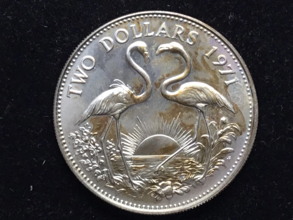 1971 The BAHAMAS SILVER $2  Large Coin Elizabeth II FLAMINGO Bird GOLD TONED - Image 2 of 2