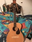 silver creek vintage dreadnought archtop case black