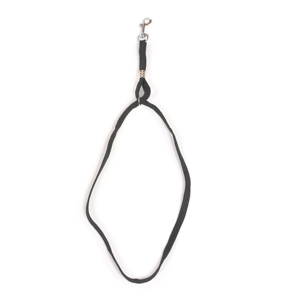 Pedigroom dog cat pet grooming neck noose arm H bar flip lock