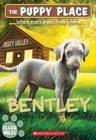 Bentley (The Puppy Place #53) - Paperback By Miles, Ellen - GOOD