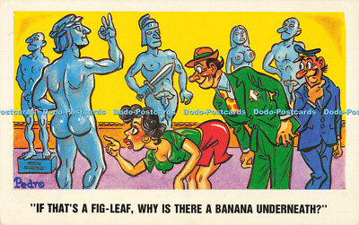 R559627 It That s a Fig Leaf Why is There a Banana Underneath Sunny Pedro Series