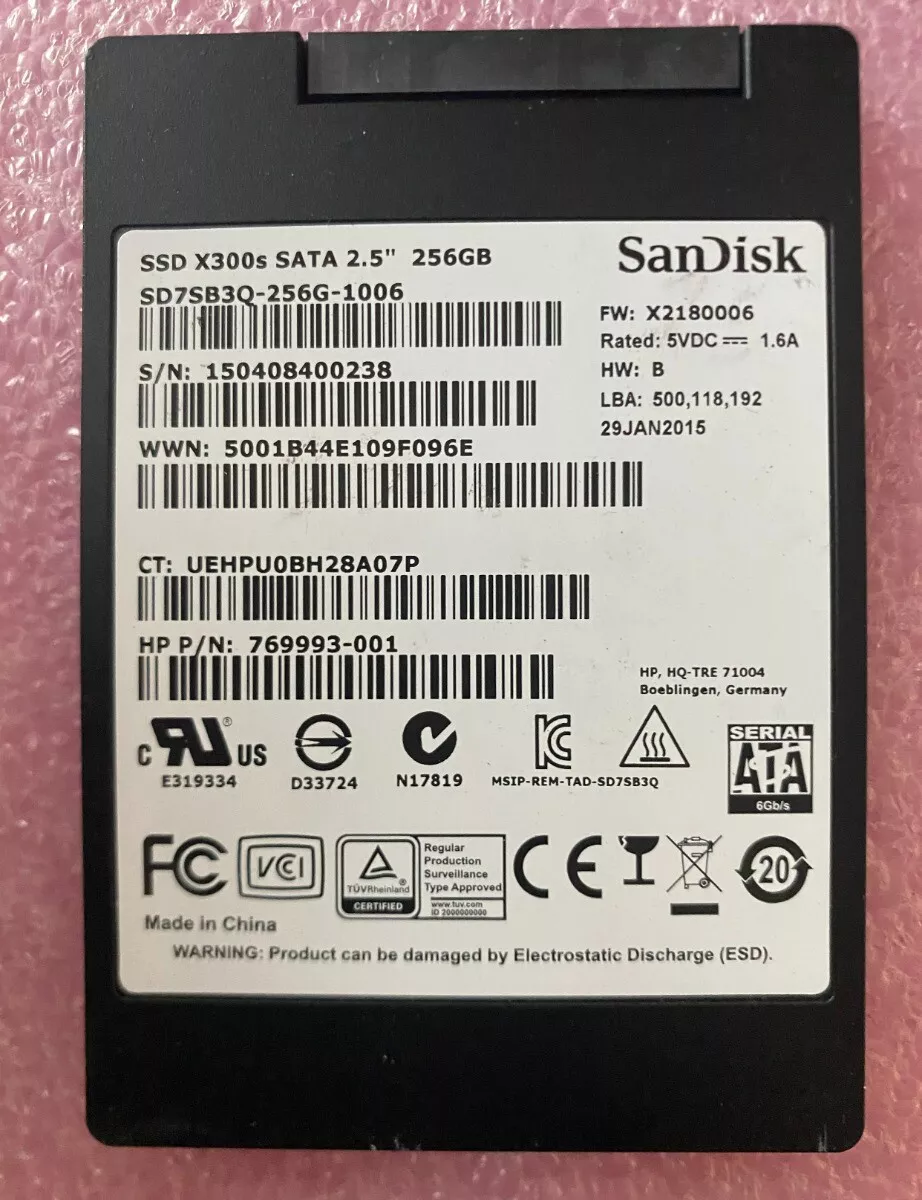 Sandisk x300s 256gb sale