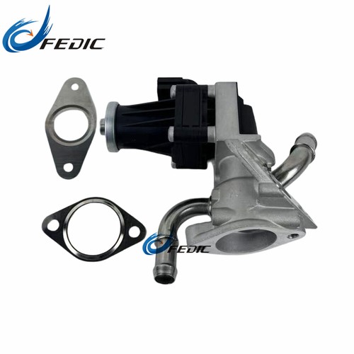 1673226 Válvula EGR para Ford Transit Box Bus Plataforma 2.2/2.4/3.2 TDCi 2000-2016 - Imagen 2 de 7